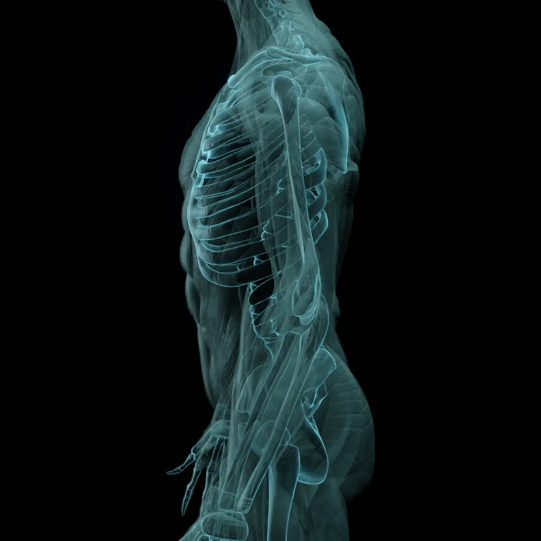 MRI-BODY-RENDER-1 MRI-BODY-RENDER-1