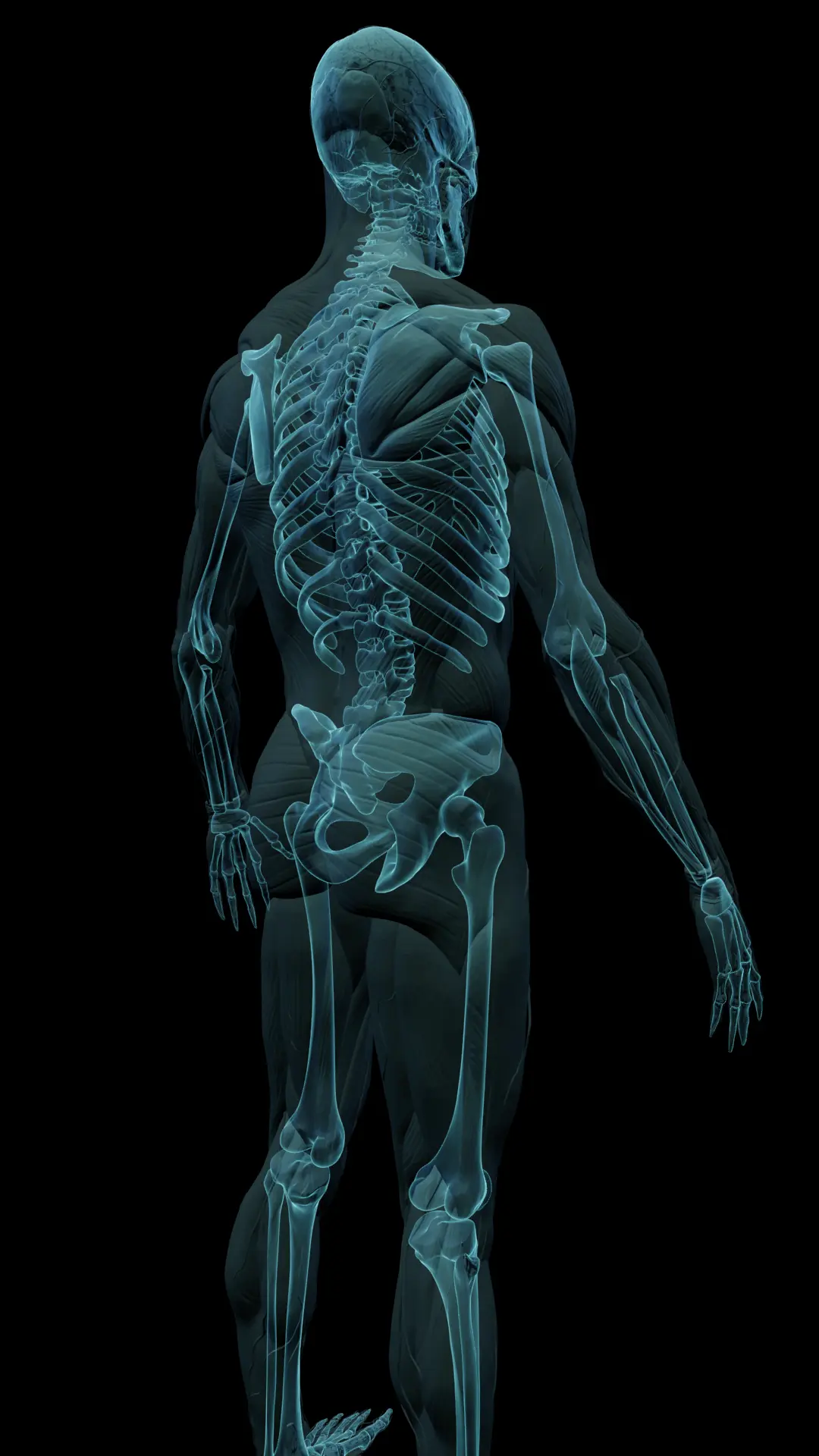 MRI-transparent-fh-behind MRI-transparent-fh-behind